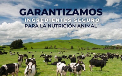 Ingredientes clave para la nutrición animal