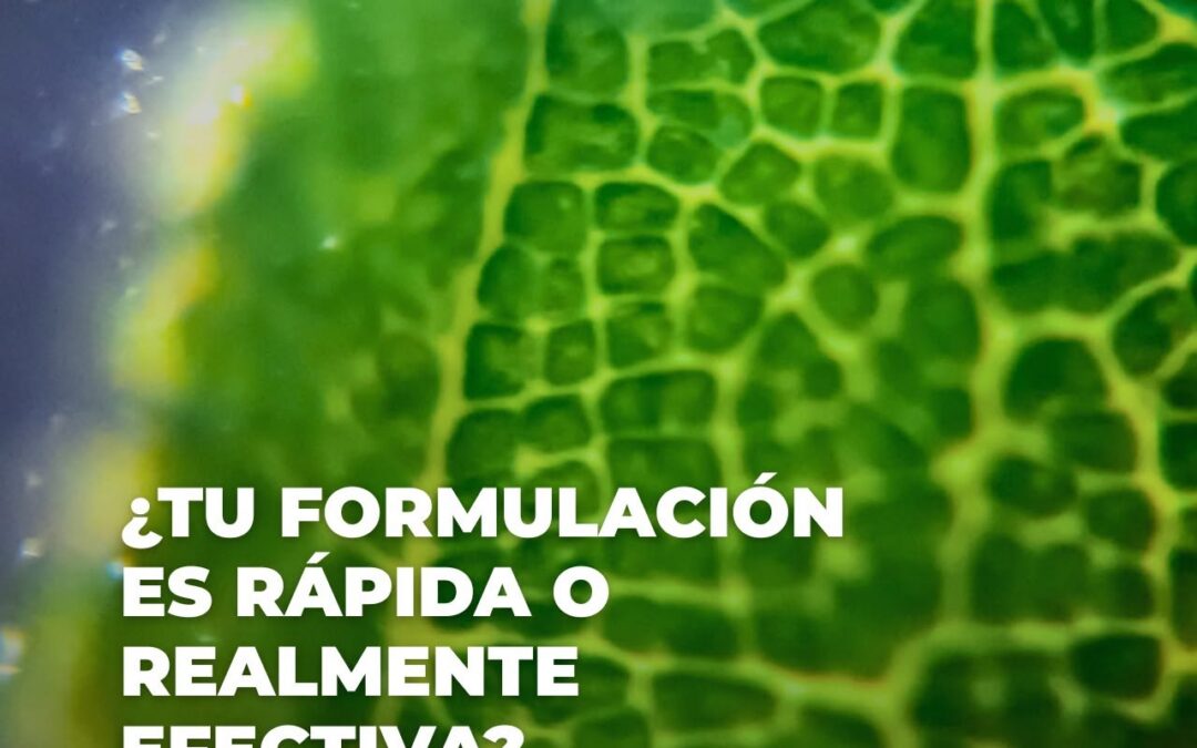La ciencia detrás de la humectación instantánea