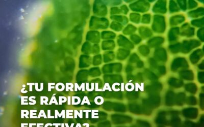 La ciencia detrás de la humectación instantánea