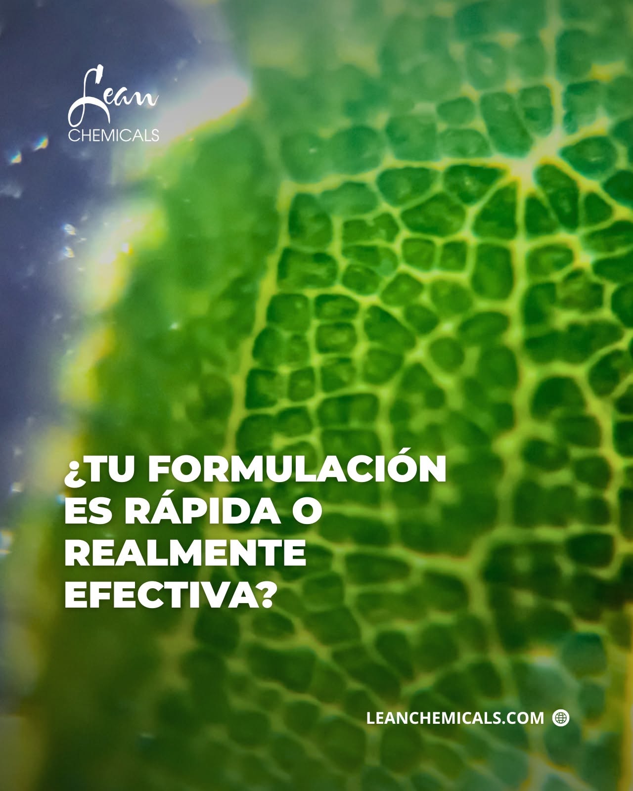 Formulación la ciencia detrás de la humectación instantánea